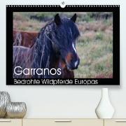 Garranos - Bedrohte Wildpferde Europas(Premium, hochwertiger DIN A2 Wandkalender 2020, Kunstdruck in Hochglanz)