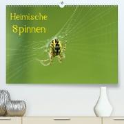 Heimische Spinnen(Premium, hochwertiger DIN A2 Wandkalender 2020, Kunstdruck in Hochglanz)