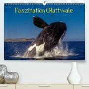 Faszination Glattwale(Premium, hochwertiger DIN A2 Wandkalender 2020, Kunstdruck in Hochglanz)