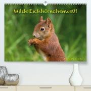 Wilde Eichhörnchenwelt!(Premium, hochwertiger DIN A2 Wandkalender 2020, Kunstdruck in Hochglanz)