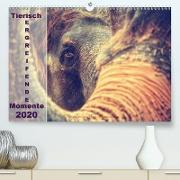 Tierisch ERGREIFENDE Momente 2020(Premium, hochwertiger DIN A2 Wandkalender 2020, Kunstdruck in Hochglanz)