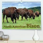 North American Bison(Premium, hochwertiger DIN A2 Wandkalender 2020, Kunstdruck in Hochglanz)