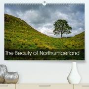 The Beauty of Northumberland(Premium, hochwertiger DIN A2 Wandkalender 2020, Kunstdruck in Hochglanz)