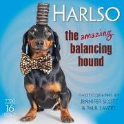 2020 Harlso the Amazing Balancing Hound 16-Month Wall Calendar: By Sellers Publishing