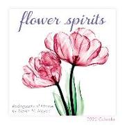 2020 Flower Spirits Radiographs of Nature by Steven N. Meyers Mini Calendar: By Sellers Publishing