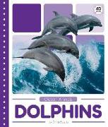 Dolphins