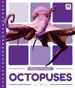 Octopuses