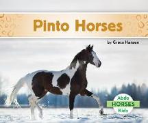 Pinto Horses