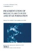 Fragmentation of Molecular Clouds and Star Formation