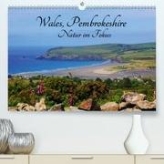 Wales Pembrokeshire - Natur im Fokus-(Premium, hochwertiger DIN A2 Wandkalender 2020, Kunstdruck in Hochglanz)