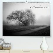 Monochrom 2020(Premium, hochwertiger DIN A2 Wandkalender 2020, Kunstdruck in Hochglanz)