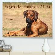 Ridgebacks - Hunde aus Afrika(Premium, hochwertiger DIN A2 Wandkalender 2020, Kunstdruck in Hochglanz)