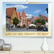 Lauf an der Pegnitz ist bunt(Premium, hochwertiger DIN A2 Wandkalender 2020, Kunstdruck in Hochglanz)