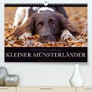 Faszination Jagdhund - Kleiner Münsterländer(Premium, hochwertiger DIN A2 Wandkalender 2020, Kunstdruck in Hochglanz)