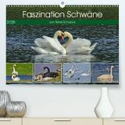 Faszination Schwäne(Premium, hochwertiger DIN A2 Wandkalender 2020, Kunstdruck in Hochglanz)