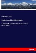 Sketches of British Insects