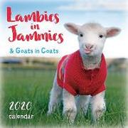 2020 Lambies in Jammies & Goats in Coats Mini Calendar: By Sellers Publishing