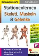 Stationenlernen Skelette, Muskeln & Gelenke