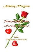 Journey of Soul Mates Attract the Love You Deserve!: Includes Mediations to Attract Yours