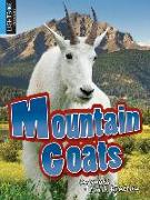 Mountain Goats