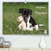 Welpen - Puppies(Premium, hochwertiger DIN A2 Wandkalender 2020, Kunstdruck in Hochglanz)