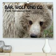 Bär, Wolf und Co - Tiere Nordamerikas(Premium, hochwertiger DIN A2 Wandkalender 2020, Kunstdruck in Hochglanz)