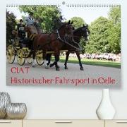 CIAT - Historischer Fahrsport in Celle(Premium, hochwertiger DIN A2 Wandkalender 2020, Kunstdruck in Hochglanz)