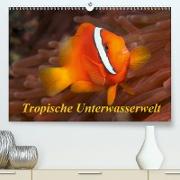 Tropische Unterwasserwelt(Premium, hochwertiger DIN A2 Wandkalender 2020, Kunstdruck in Hochglanz)