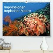 Impressionen tropischer Meere(Premium, hochwertiger DIN A2 Wandkalender 2020, Kunstdruck in Hochglanz)