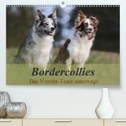 Bordercollies - Das Vierohr-Team unterwegs(Premium, hochwertiger DIN A2 Wandkalender 2020, Kunstdruck in Hochglanz)