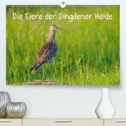 Die Tiere der Dingdener Heide(Premium, hochwertiger DIN A2 Wandkalender 2020, Kunstdruck in Hochglanz)