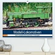 Modell-Lokomotiven beim Dampfmodellbautreffen in Bisingen(Premium, hochwertiger DIN A2 Wandkalender 2020, Kunstdruck in Hochglanz)