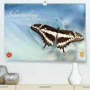 Schmetterlinge - ein Traum in Pastell(Premium, hochwertiger DIN A2 Wandkalender 2020, Kunstdruck in Hochglanz)
