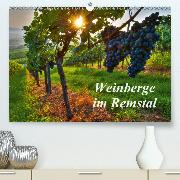 Weinberge im Remstal(Premium, hochwertiger DIN A2 Wandkalender 2020, Kunstdruck in Hochglanz)