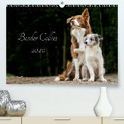 Border Collies 2020(Premium, hochwertiger DIN A2 Wandkalender 2020, Kunstdruck in Hochglanz)