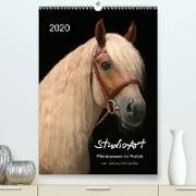 StudioArt Pferderassen im Porträt(Premium, hochwertiger DIN A2 Wandkalender 2020, Kunstdruck in Hochglanz)