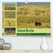 Küsten Hirsche - Rotwild auf dem Darss(Premium, hochwertiger DIN A2 Wandkalender 2020, Kunstdruck in Hochglanz)