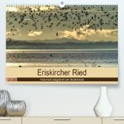 Eriskircher Ried - Naturschutzgebiet am Bodensee(Premium, hochwertiger DIN A2 Wandkalender 2020, Kunstdruck in Hochglanz)
