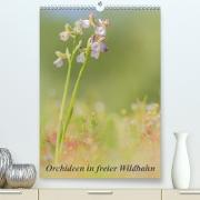 Orchideen in freier Wildbahn(Premium, hochwertiger DIN A2 Wandkalender 2020, Kunstdruck in Hochglanz)