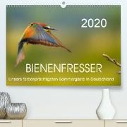 Bienenfresser, unsere farbenprächtigsten Sommergäste in Deutschland(Premium, hochwertiger DIN A2 Wandkalender 2020, Kunstdruck in Hochglanz)