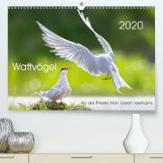 Wattvögel an der Friesischen IJsselmeerküste(Premium, hochwertiger DIN A2 Wandkalender 2020, Kunstdruck in Hochglanz)