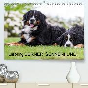 Liebling BERNER SENNENHUND(Premium, hochwertiger DIN A2 Wandkalender 2020, Kunstdruck in Hochglanz)