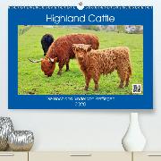 Highland Cattle, die Hochlandrinder aus Pfeffingen(Premium, hochwertiger DIN A2 Wandkalender 2020, Kunstdruck in Hochglanz)