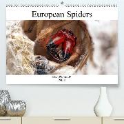 European Spiders(Premium, hochwertiger DIN A2 Wandkalender 2020, Kunstdruck in Hochglanz)