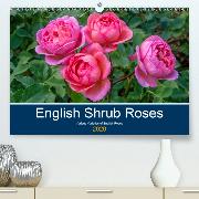 English Shrub Roses(Premium, hochwertiger DIN A2 Wandkalender 2020, Kunstdruck in Hochglanz)