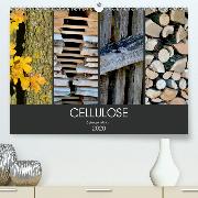 Cellulose, Cellulose in Urform(Premium, hochwertiger DIN A2 Wandkalender 2020, Kunstdruck in Hochglanz)