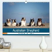 Australian Shepherd 2020(Premium, hochwertiger DIN A2 Wandkalender 2020, Kunstdruck in Hochglanz)