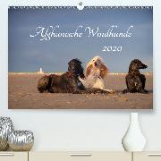 AFGHANISCHE WINDHUNDE 2020(Premium, hochwertiger DIN A2 Wandkalender 2020, Kunstdruck in Hochglanz)