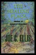 The Healing Place--Prequel to Murder at Whalehead