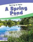 A Spring Pond